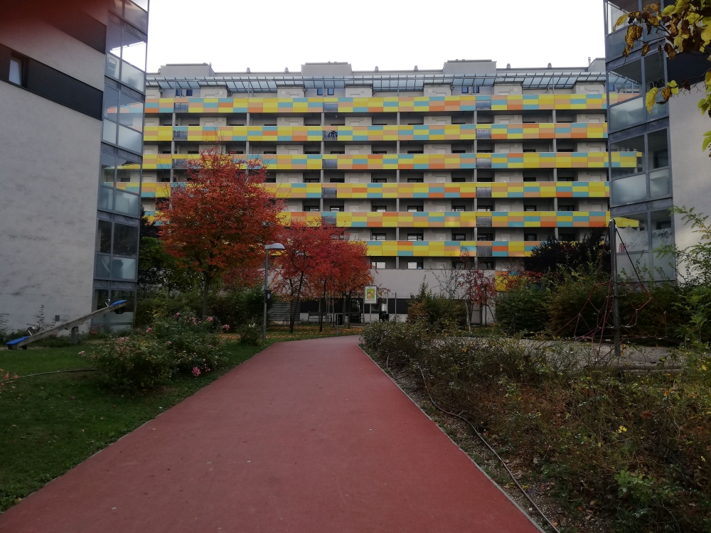 becsi berlakas Forras Párdi Zsófi igylakunk 1 kicsi