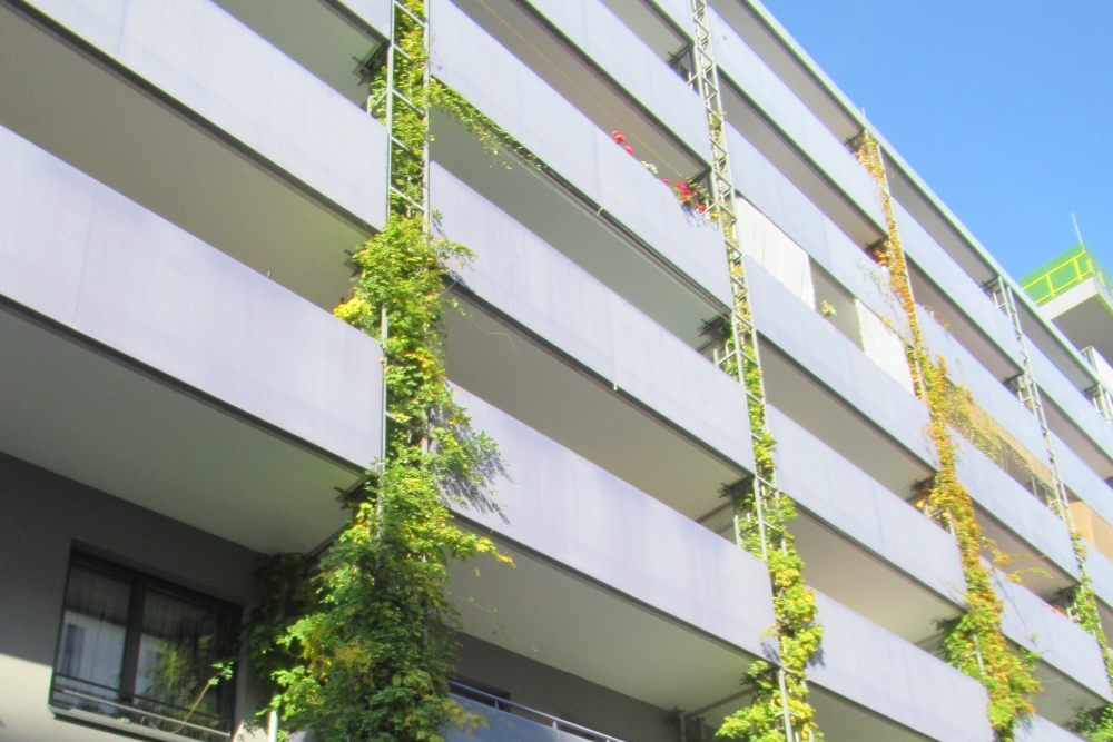 Kinek hiányoznak a bérlakások?