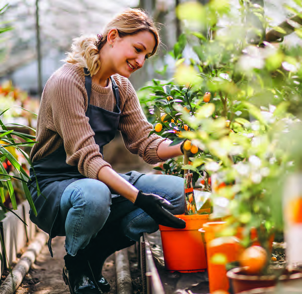 400x252 Magasagyas 3