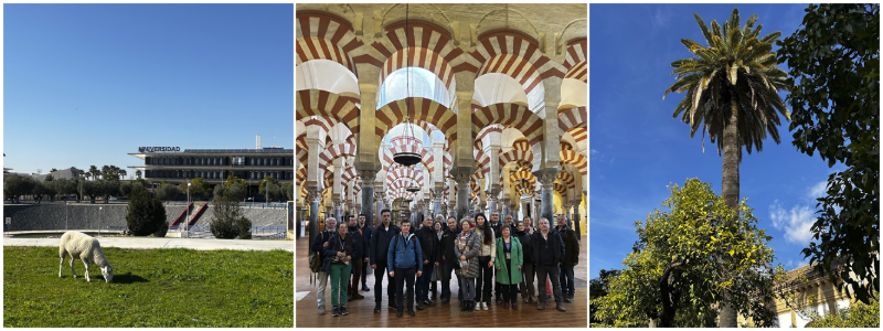 Tanulmányút fotómontázs